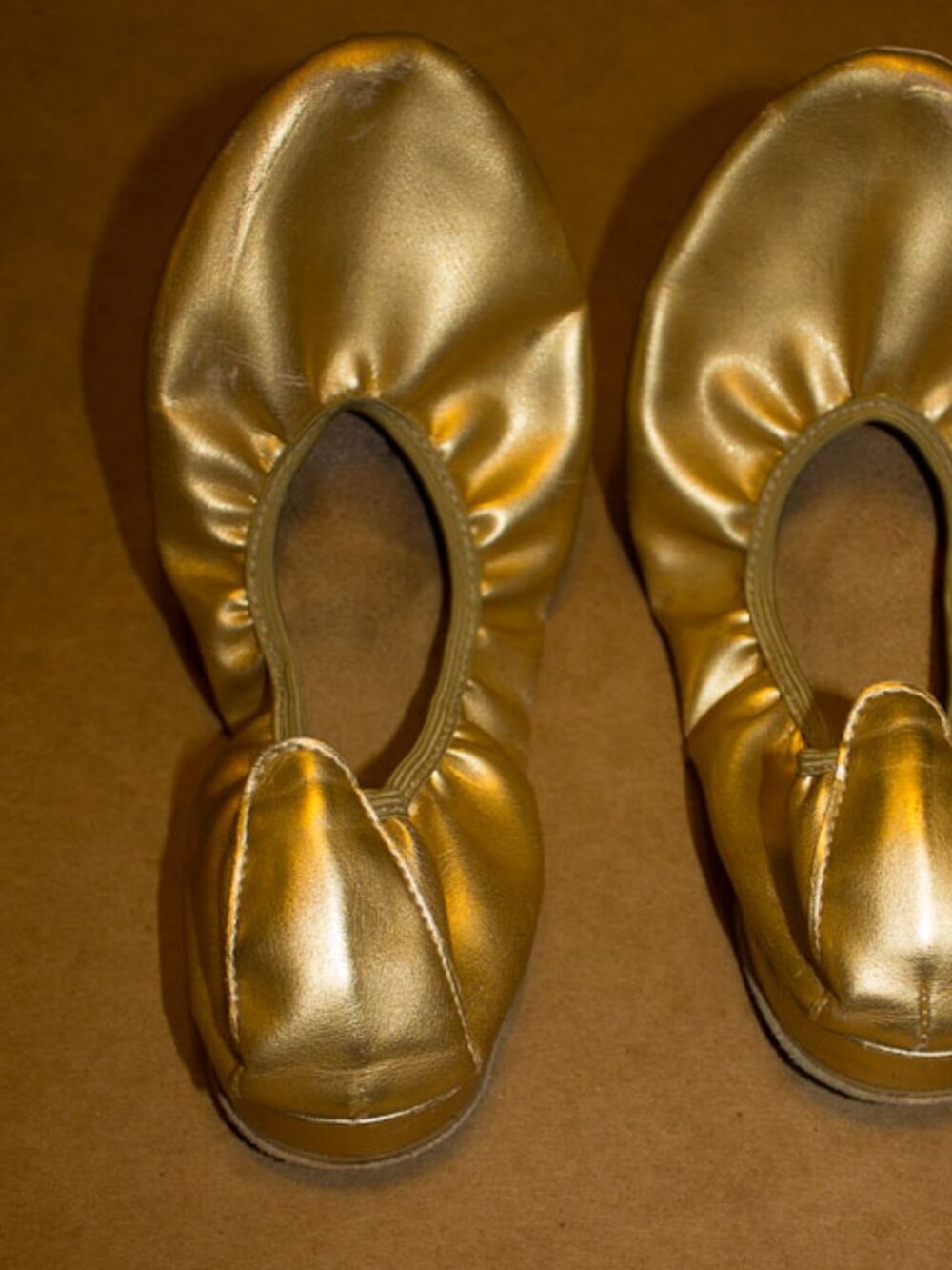 Dancing Slippers or shoe